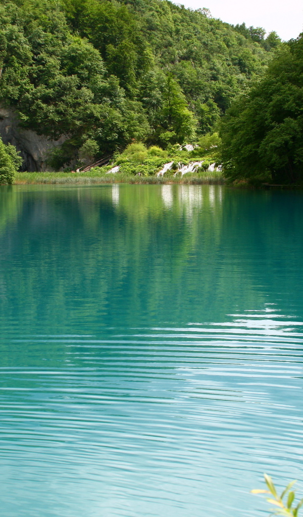 Водная гладь