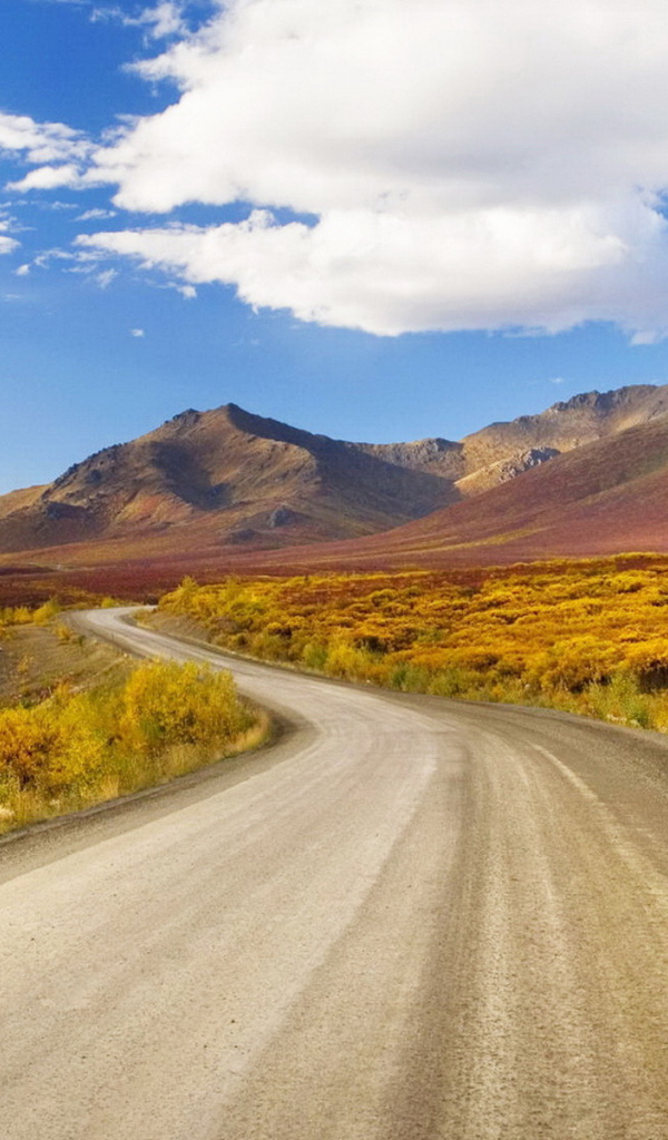 Извилистая дорога