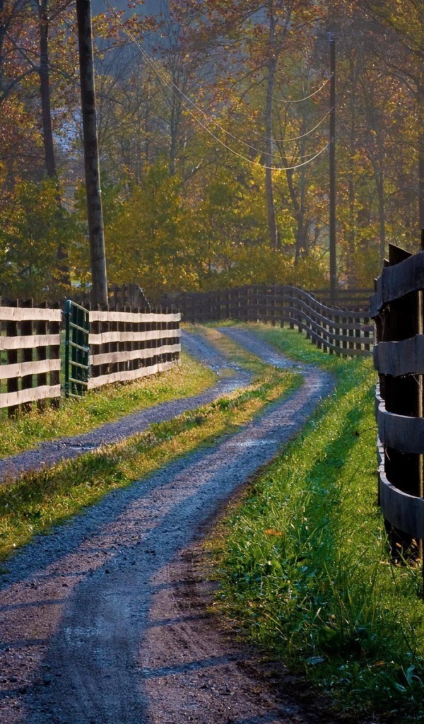 Деревянные заборы