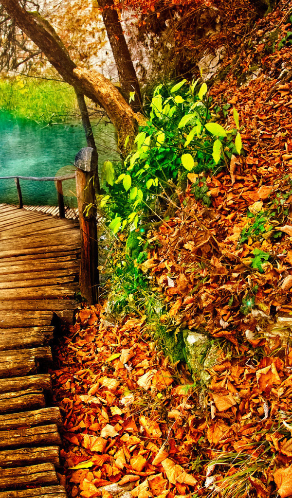 Дорожка к озеру