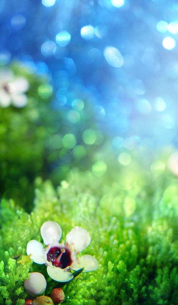 Зеленая трава