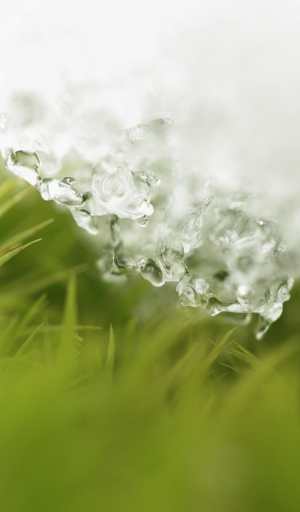 Пришла весна