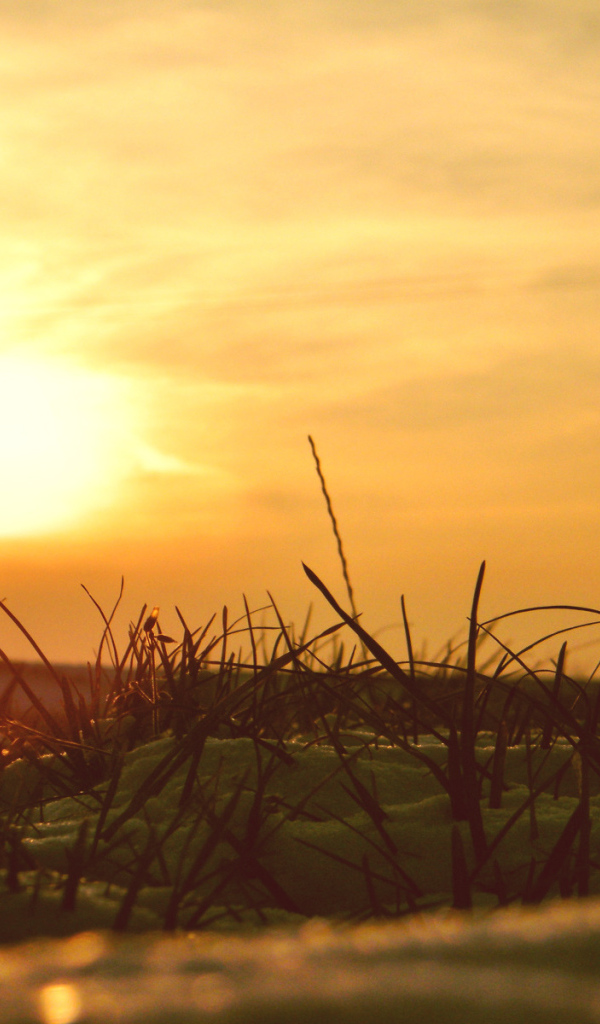 Сквозь снег