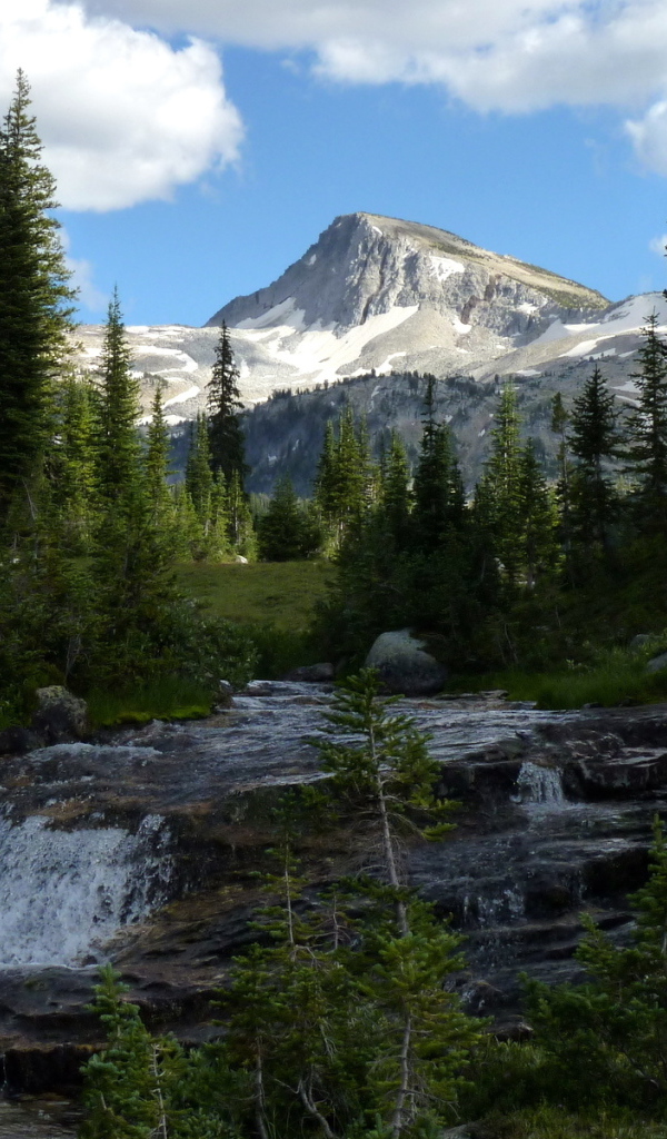 Горная река в штате Орегон