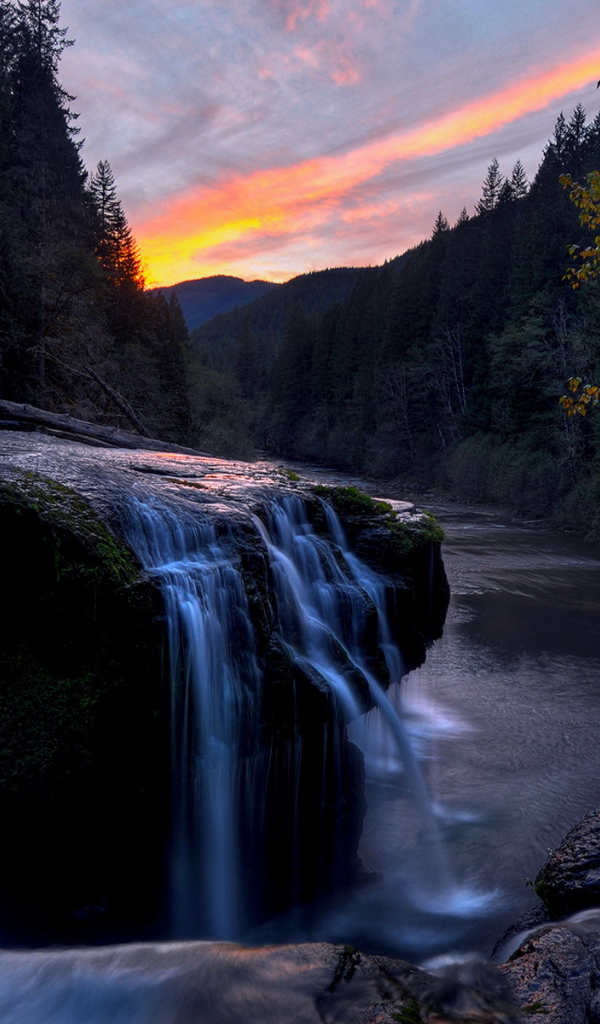 Речка в лесу