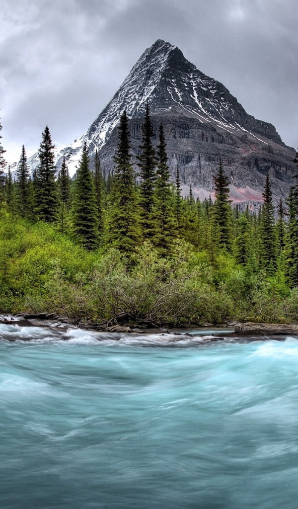 Бурная река