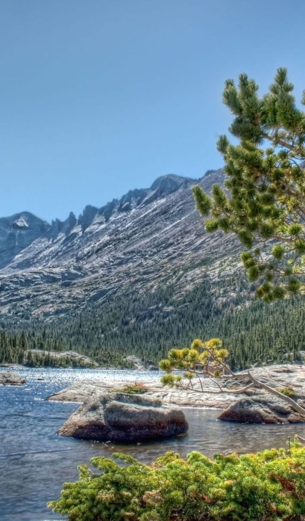 Горная река