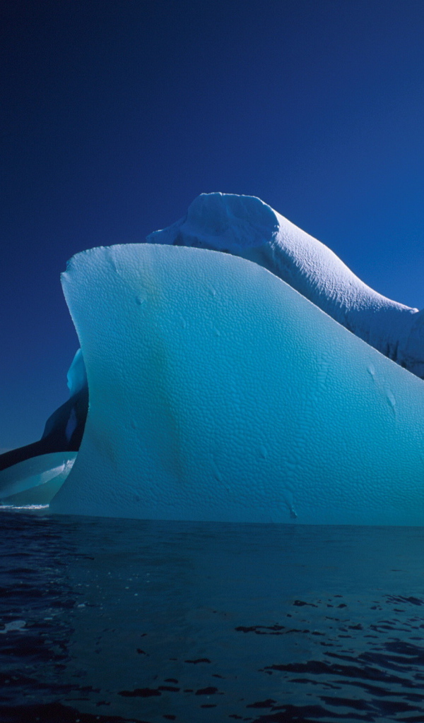 Айсберг