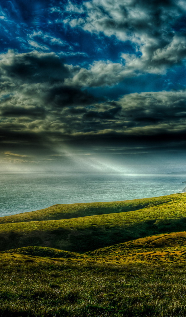 В ожидании бури