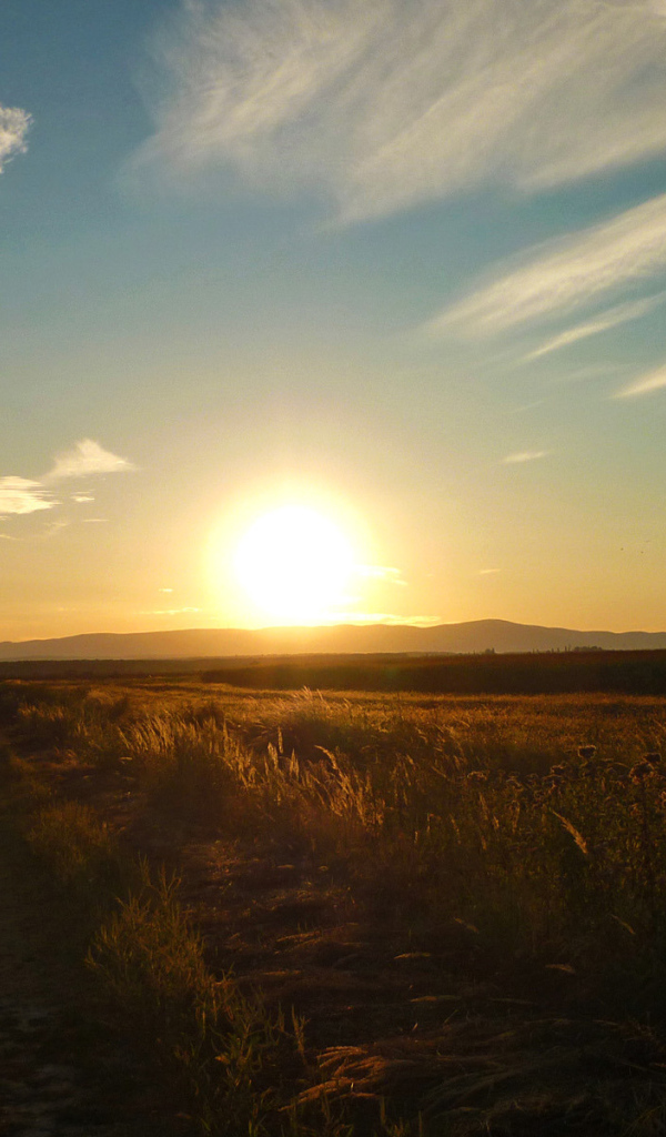 Закат в поле