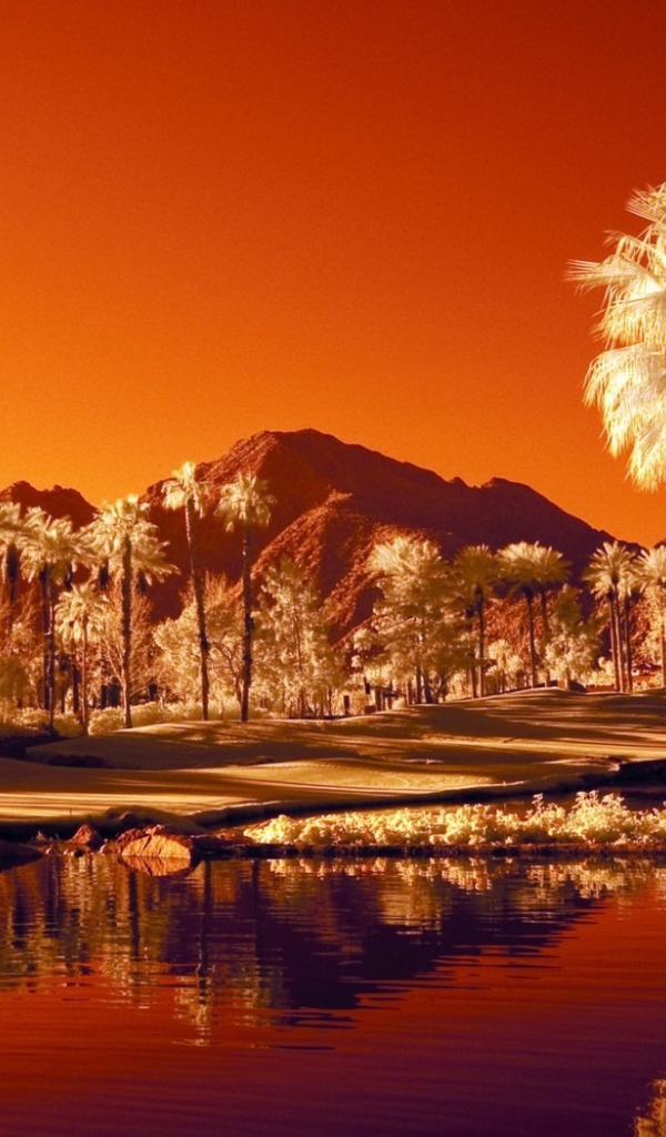 Последний закат