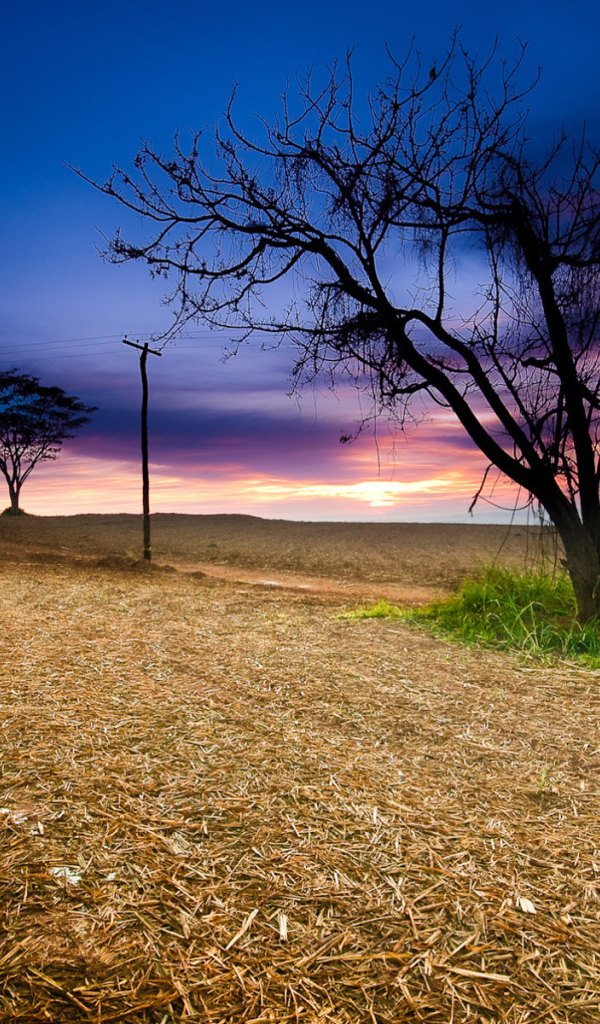 Закат в поле
