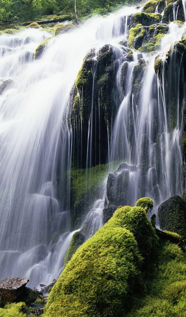 Красивый лесной водопад