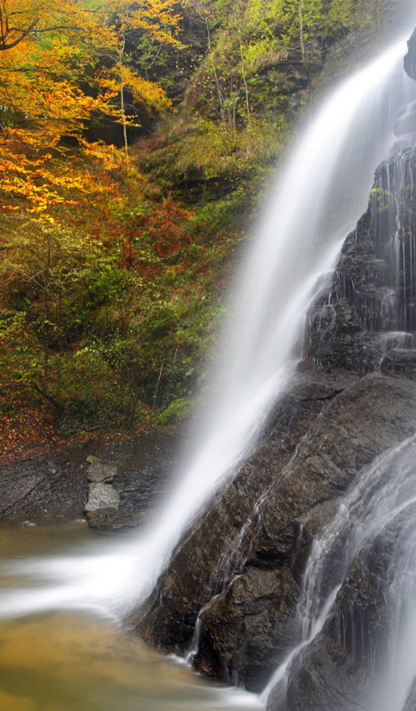Водопад в лесу