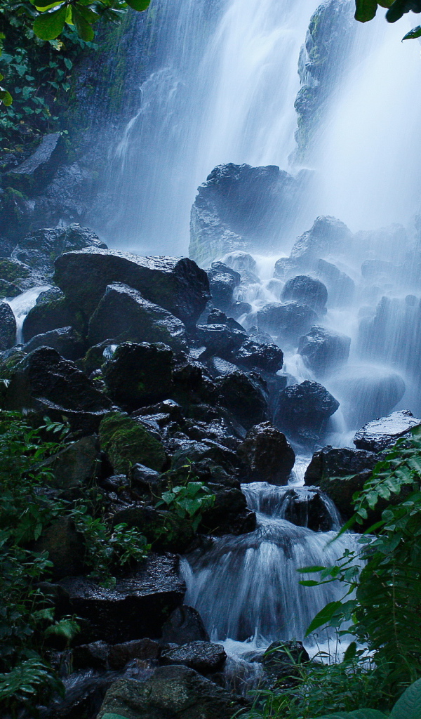 Лесной водопад