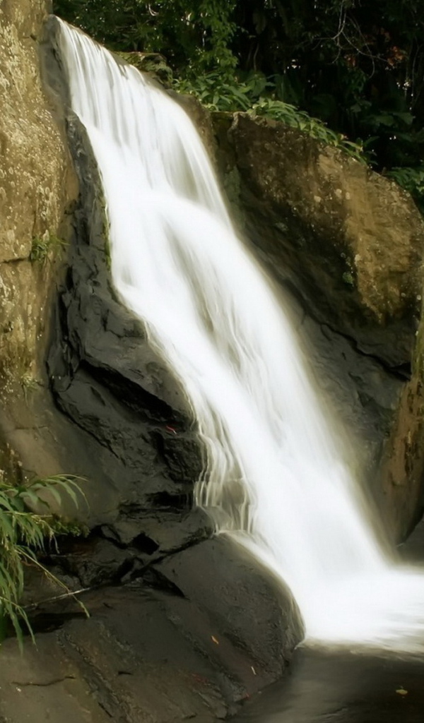 Маленький лесной водопад