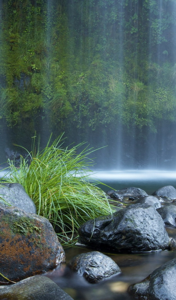 Стена водопада