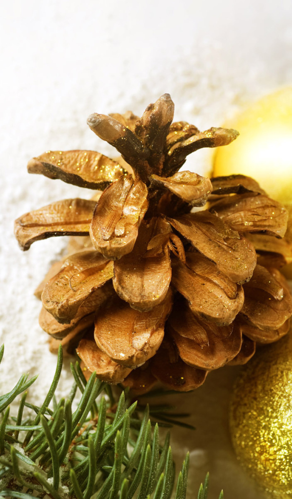 Шишка на новый год