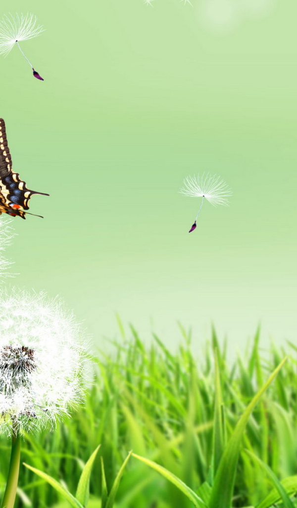 Бабочка и одуванчики