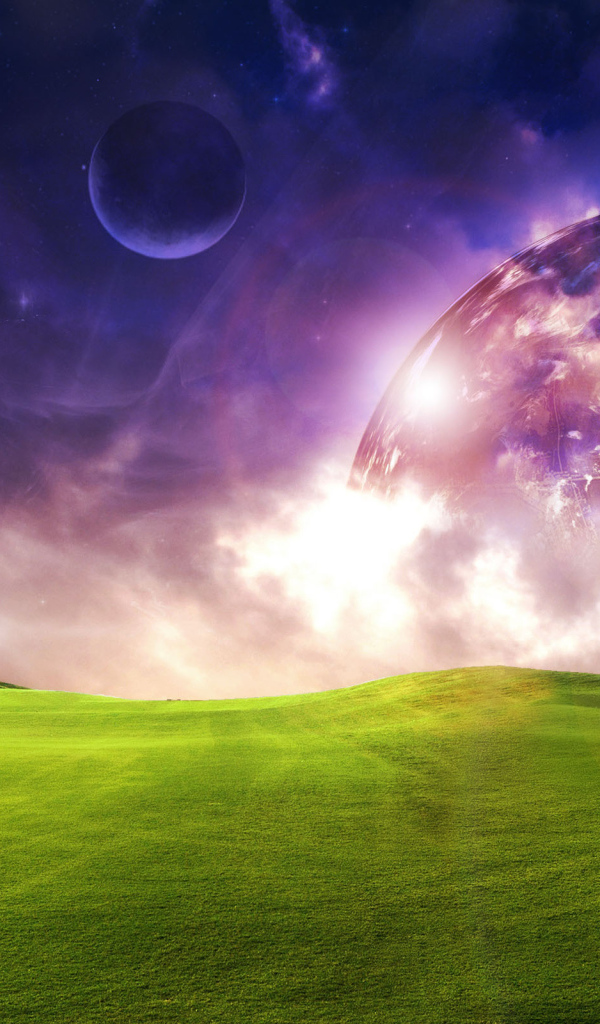 Фантастический луг