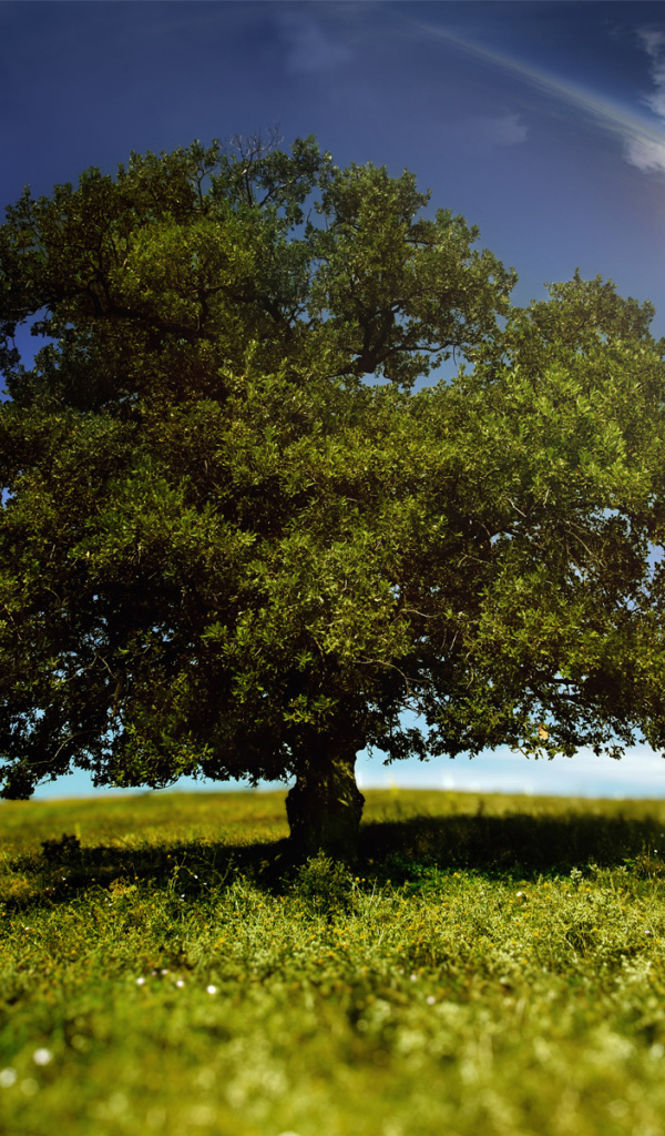 Мир фантазии