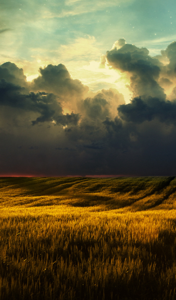 Золотое поле