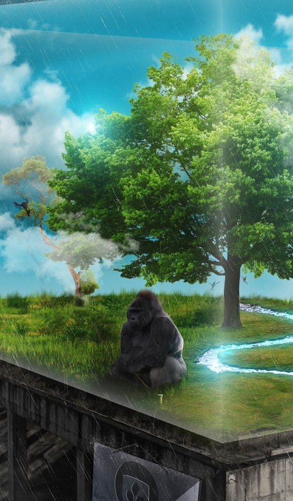 Зеленый уголок