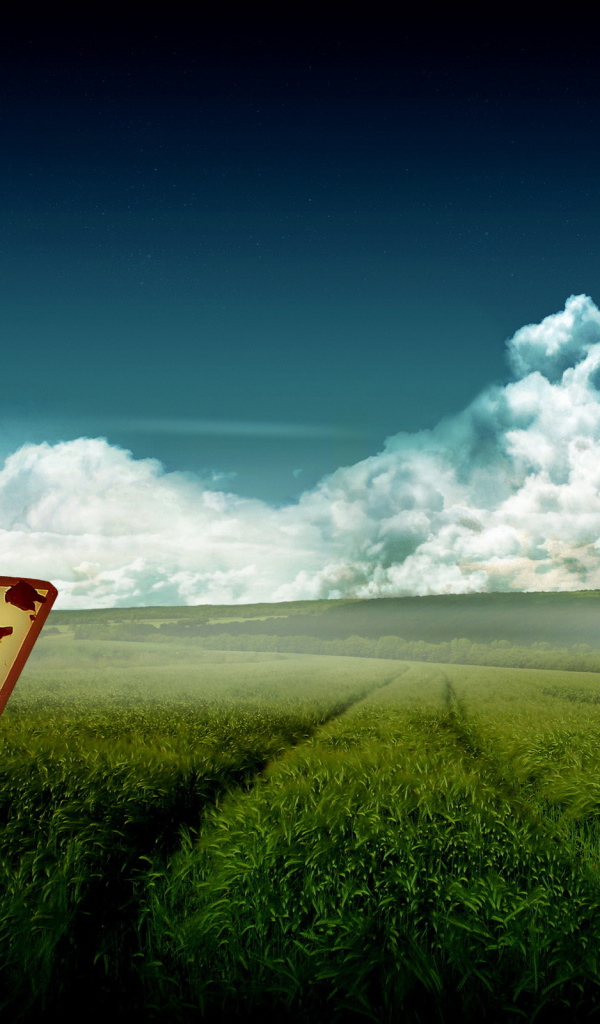 Зеленое поле