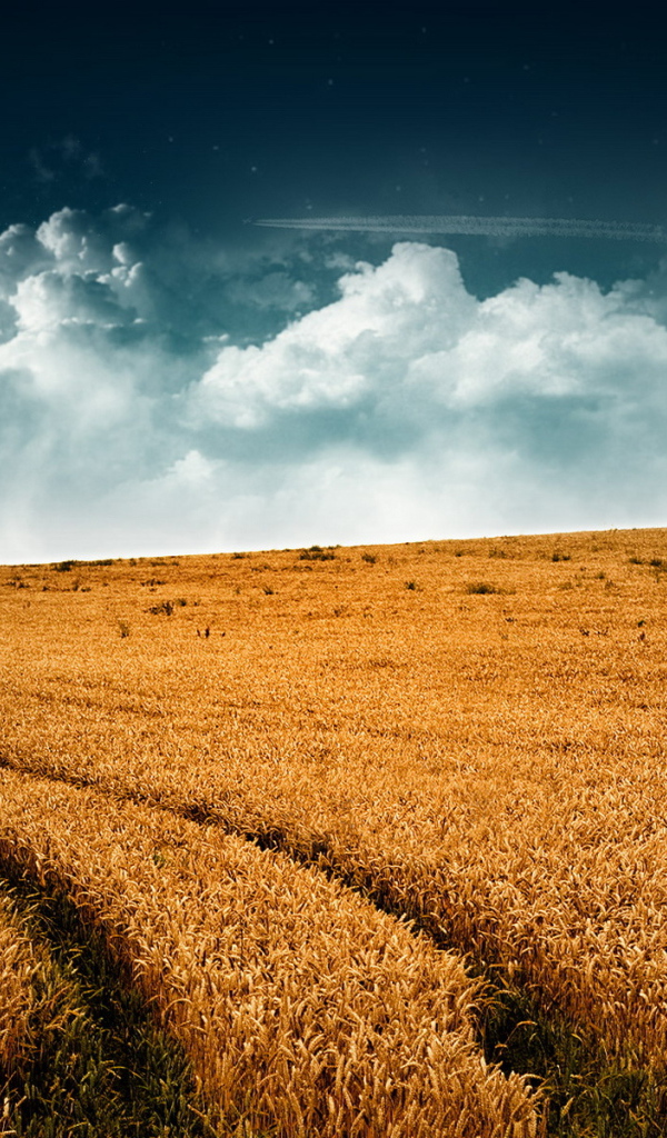 Невероятное небо