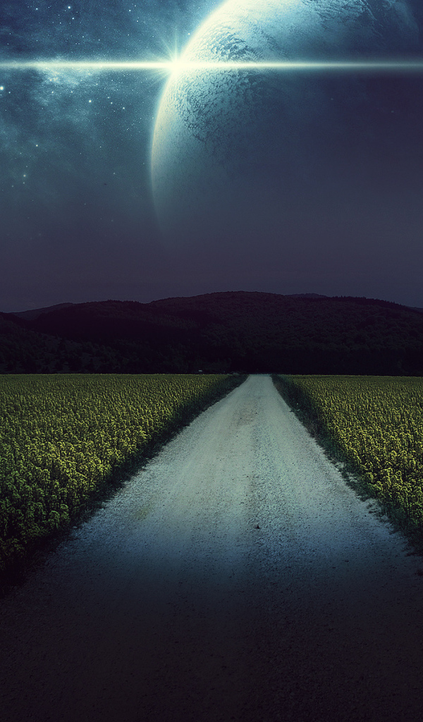 Ночная дорога