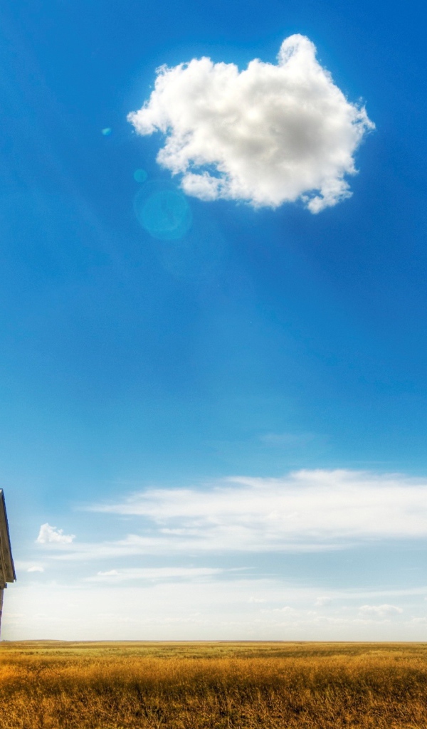 Старый сарай в поле