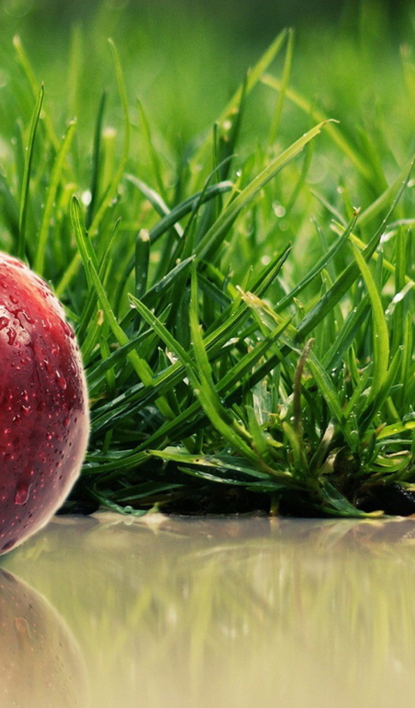 Сладкое яблочко