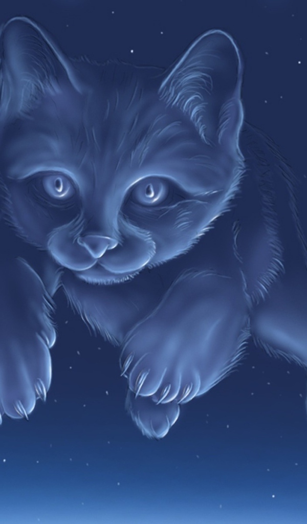 Созвездие кота