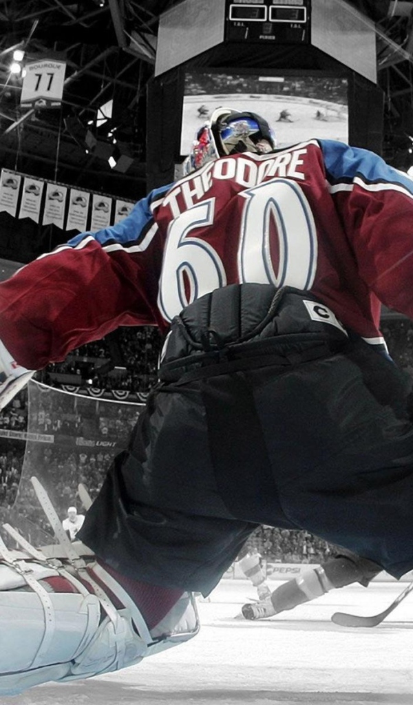 Жозе Теодор, НХЛ