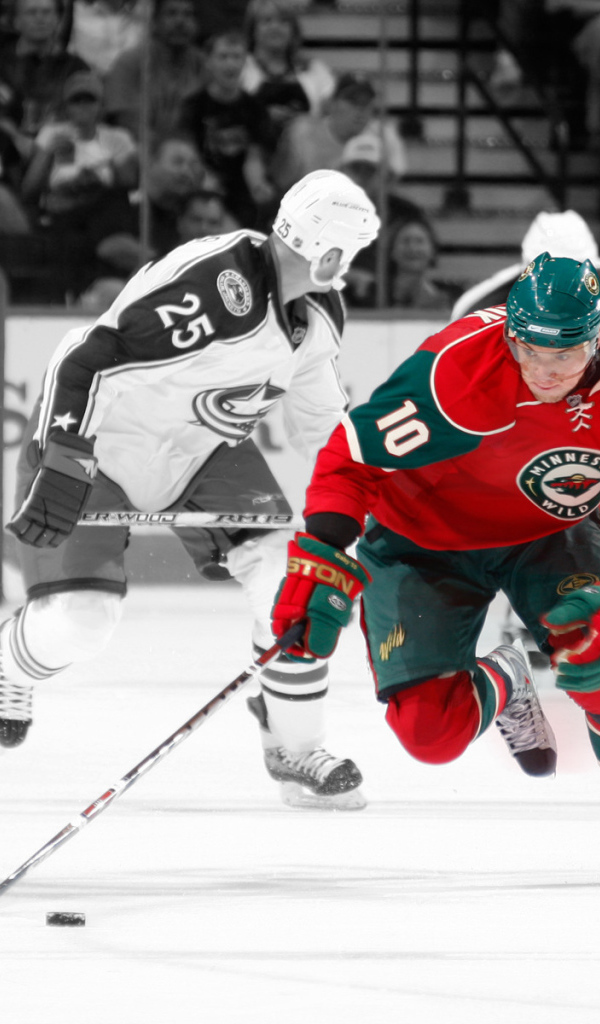 Minnesota Wild, NHL