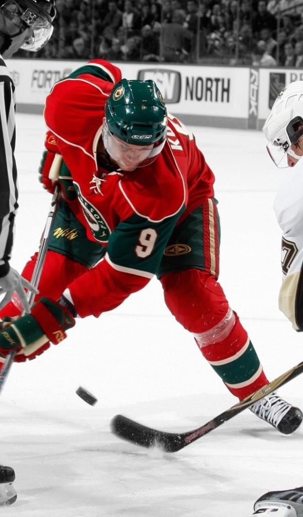 хоккей, лед, шайба