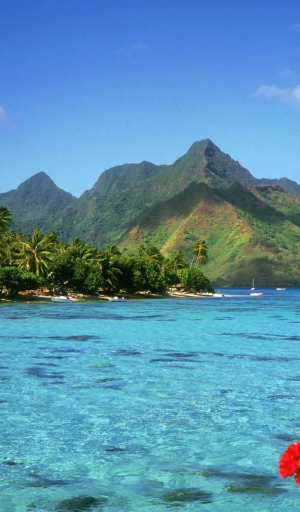 Путешествие на Багамы