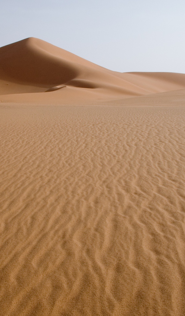 Ливийская пустыня