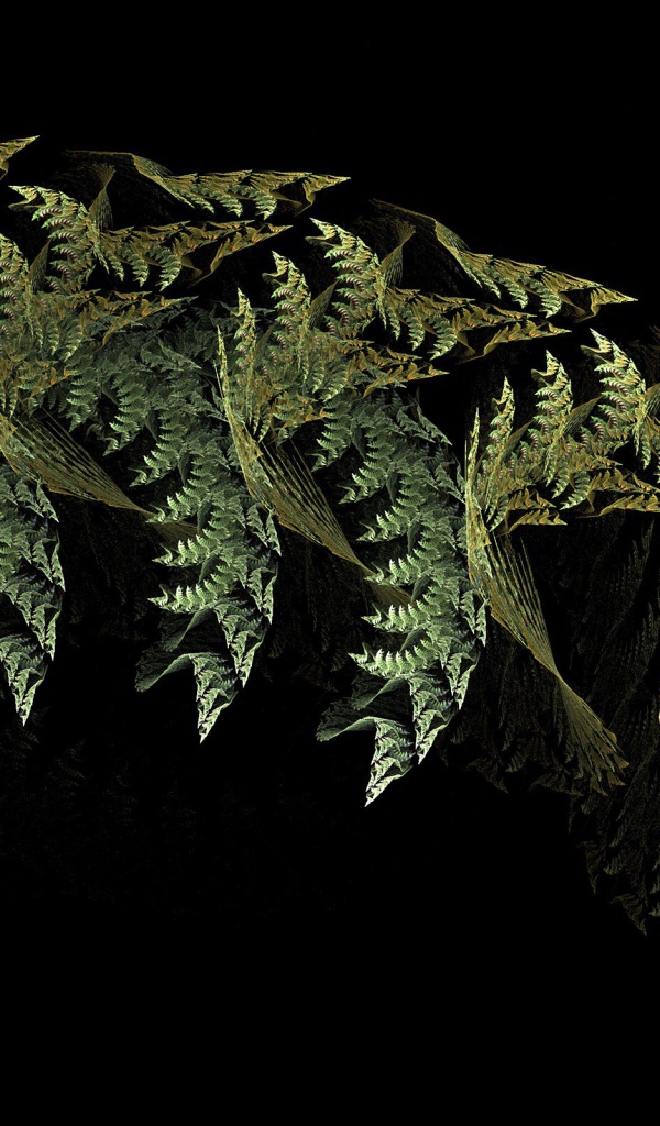 Листья папоротника