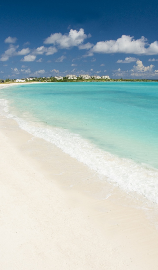 Бабочка на камнях