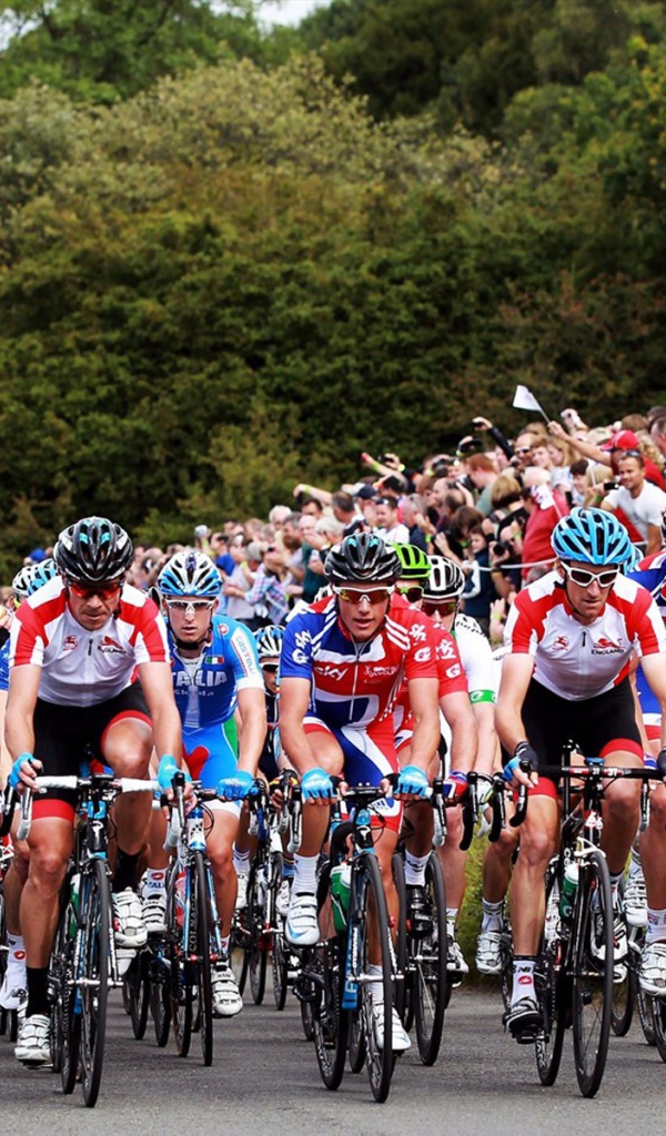 Классический велоспорт