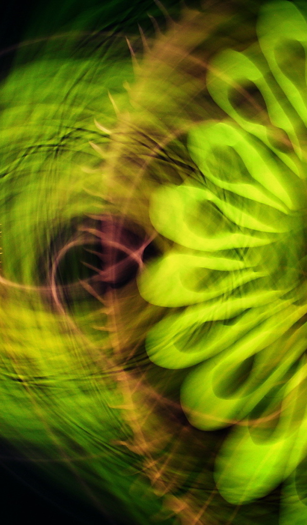 Зеленая абстракция