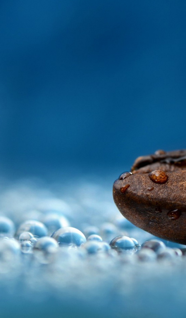 Кофейное зернышко