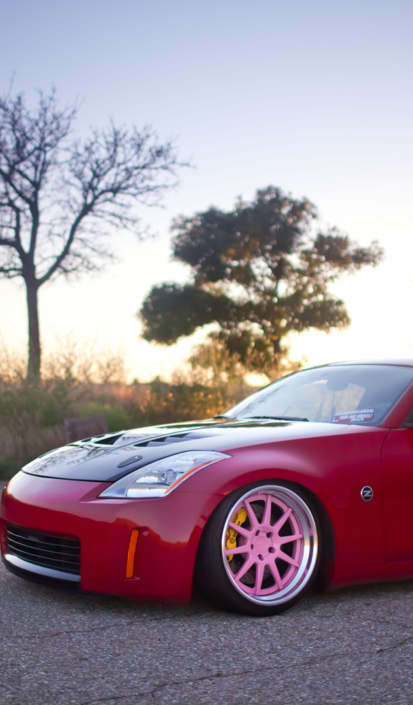 Бордовый Nissan 350Z