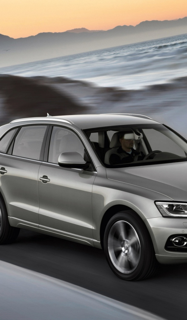Audi Q5 2013