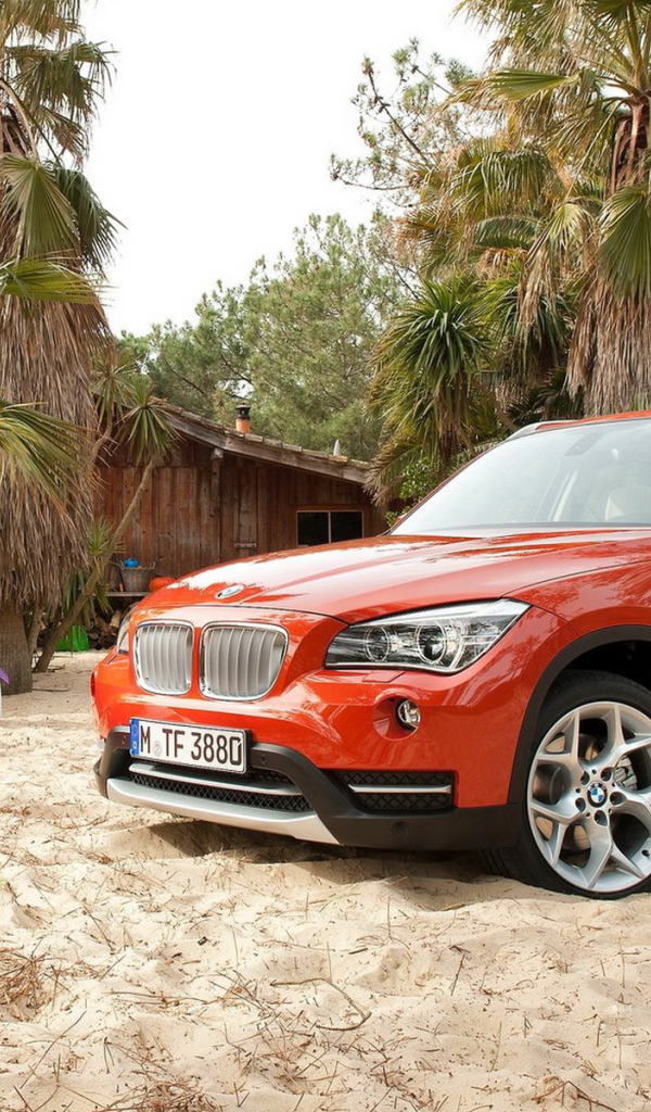 BMW-X1
