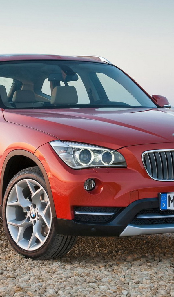 BMW-X1