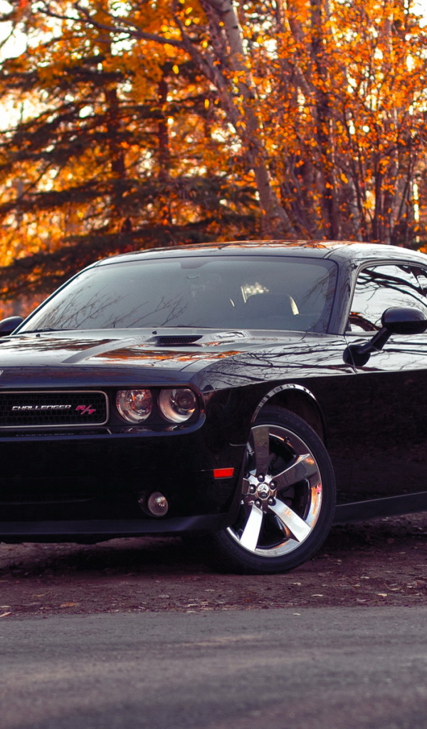 Dodge-Challenger