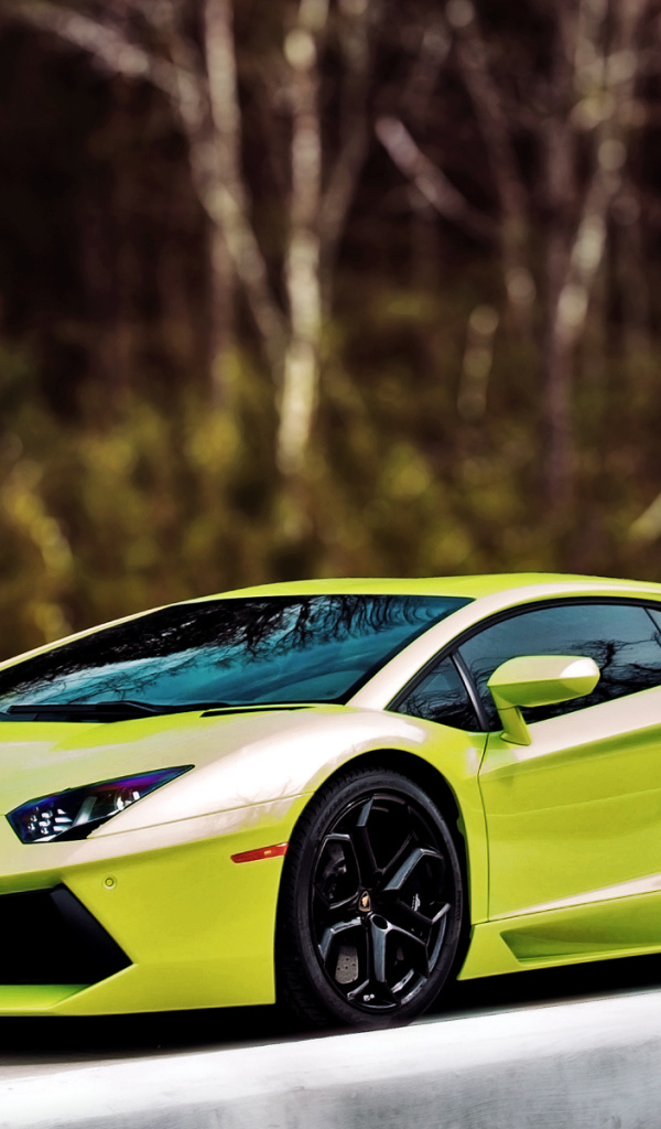 Lamborghini-Aventador Lp700