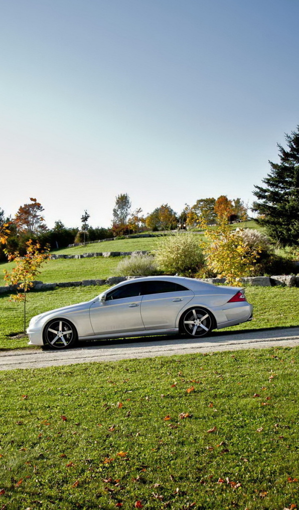 Mercedes Benz CLS на природе